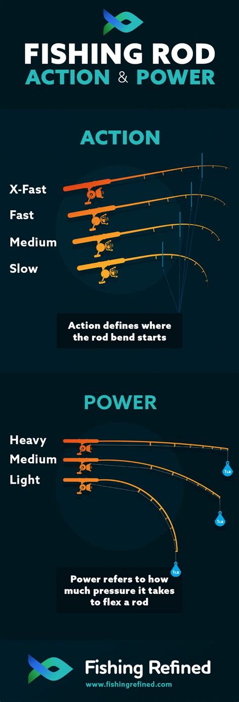 a fishing rod|Fishing Rods Explained .
